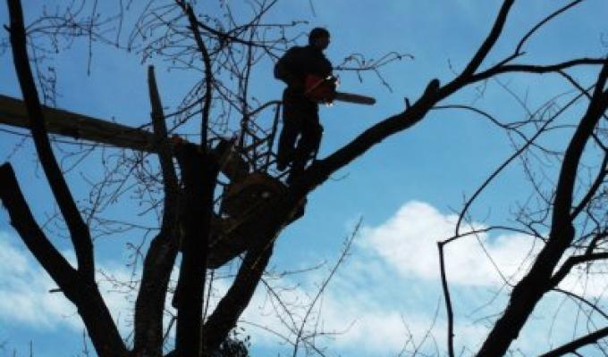 Обговорено заходи щодо запобігання виникненню поривів на лініях електропередач району 