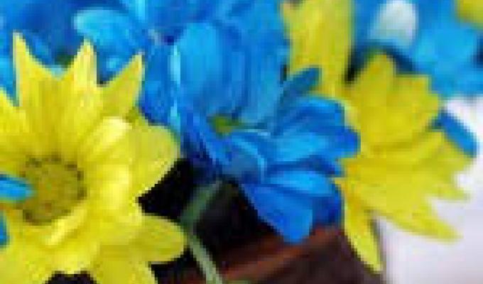 Шановні працівники митної служби!
