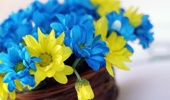 Шановні адміністратори центру надання адміністративних послуг, вітаємо вас з вашим професійним святом.