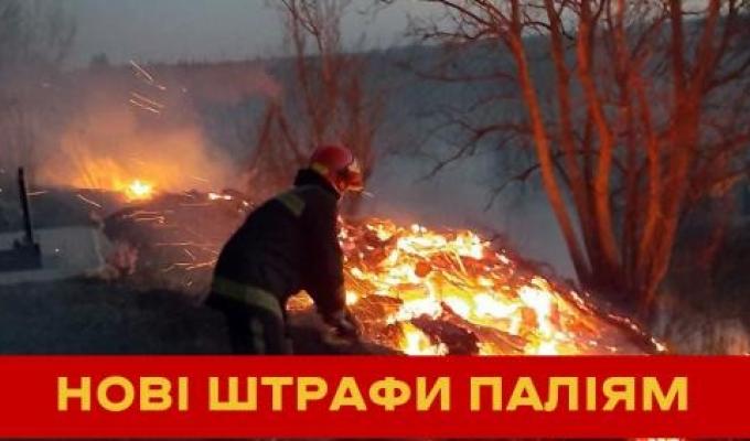 Штрафи для паліїв сухої трави