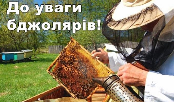 Увага! Надається дотація на бджолосім’ї