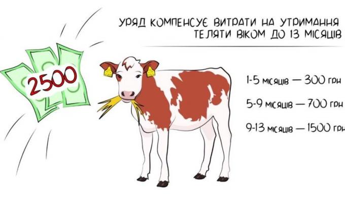 У Новопсковському районі  продовжують діяти програми державної підтримки галузі тваринництва 