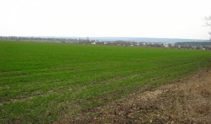 Про стан справ в сільському господарстві району