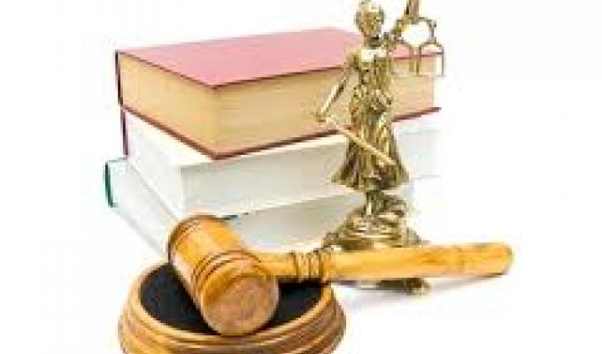 Зміна керівника та/або складу керівного органу громадської організації