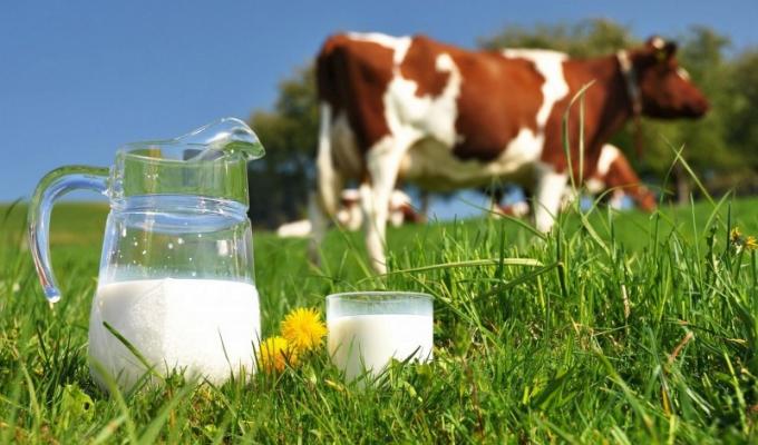 УВАГА! ПРОВОДИТЬСЯ ВИПЛАТА ЧАСТКОВОЇ КОМПЕНСАЦІЇ ЗА ПРИДБАННЯ УСТАНОВОК ІНДИВІДУАЛЬНОГО ДОЇННЯ КОРІВ ВЛАСНИКАМ ОСОБИСТИХ СЕЛЯНСЬКИХ ГОСПОДАРСТВ