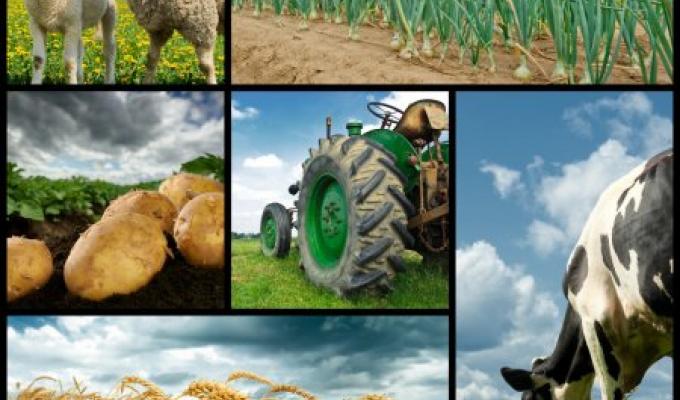 Станом на 20.03.2020 діють державні програми підтримки агропромислового комплексу