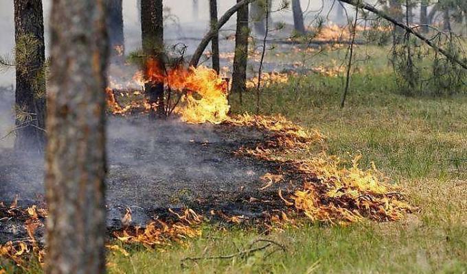 На Луганщині попереджають про високий рівень пожежної небезпеки