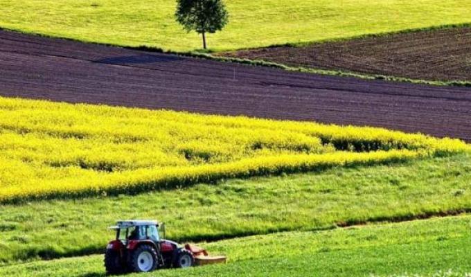 Щодо обміну земельними ділянками сільськогосподарського призначення