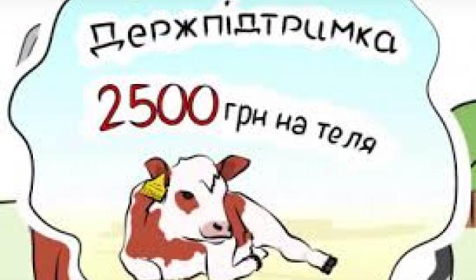 У Новопсковському районі реалізуються програми державної підтримки галузі тваринництва