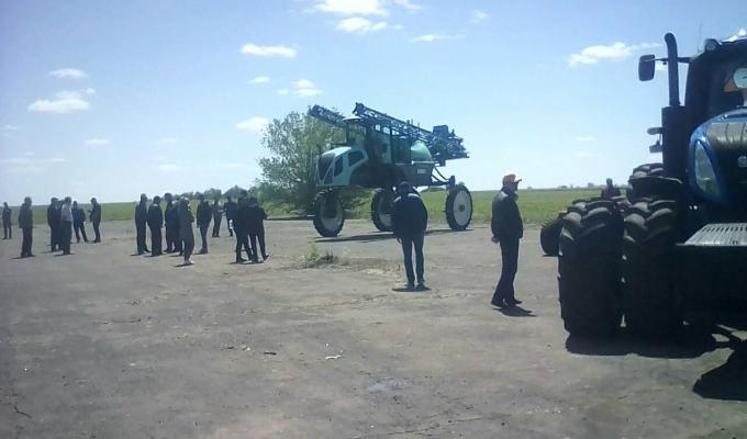 День поля!