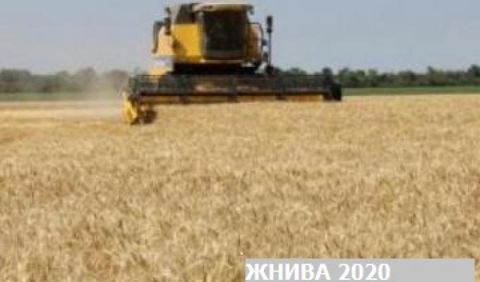 "ЖНИВА 2020": сільгоспвиробниками Новопсковщини скошено та обмолочено вже 18,0 тисяч га ранніх зернових культур
