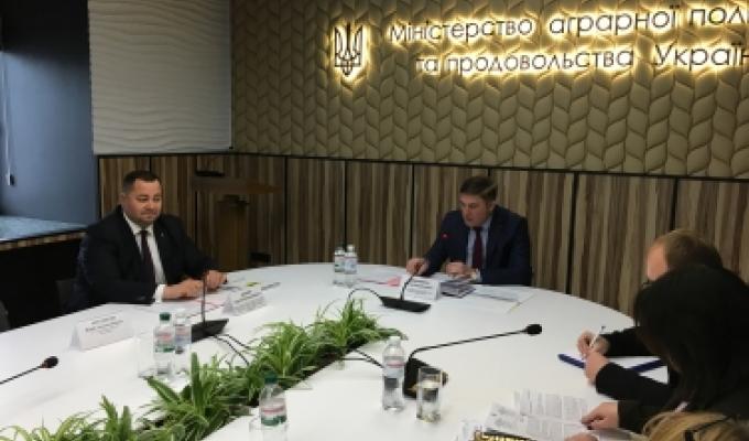 Нові прямі дотації для фермерів: як скористатися