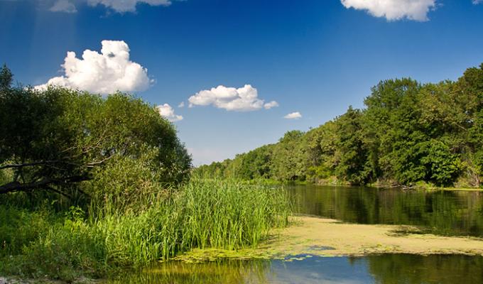 Моніторинг та екологічна оцінка водних ресурсів України