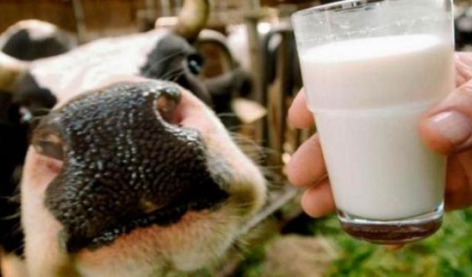 Щодо створення сімейних ферм чи сільськогосподарських молочних кооперативів