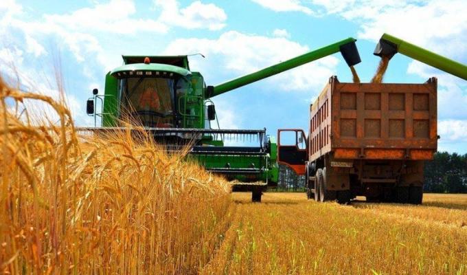 Наближаються жнива. Інформація управління соціального захисту для роботодавців та найманих працівників