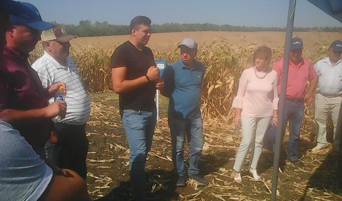 В селі Березівка відбувся День поля