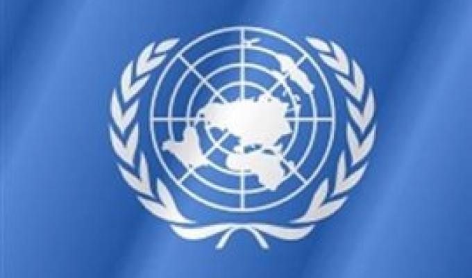Конкурс бізнес-грантів для переселенців та місцевого населення Донецької та Луганської областей від ПРООН