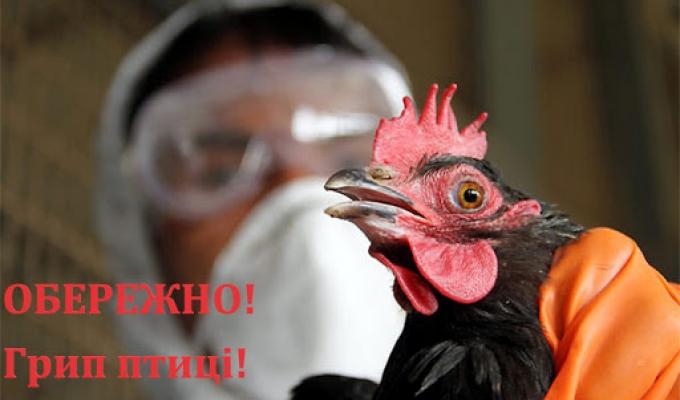 ОБЕРЕЖНО! В УКРАЇНІ ЗАРЕЄСТРОВАНО НОВИЙ ВИПАДОК ГРИПУ ПТАХІВ !
