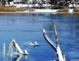 Основні правила поведінки на льоду: