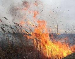 ПРО НЕБЕЗПЕКУ СПАЛЮВАННЯ СУХОЇ ТРАВИ, ОЧЕРЕТУ ТА СМІТТЯ