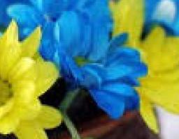Шановні працівники митної служби!