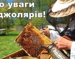 Увага! Надається дотація на бджолосім’ї