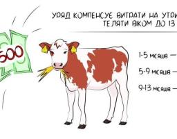У Новопсковському районі  продовжують діяти програми державної підтримки галузі тваринництва 