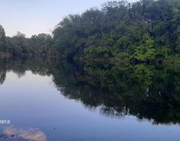 Згідно проведених досліджень вода у річці Айдар відповідає нормативам якості