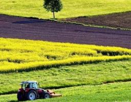 Щодо обміну земельними ділянками сільськогосподарського призначення