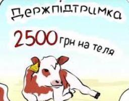У Новопсковському районі реалізуються програми державної підтримки галузі тваринництва