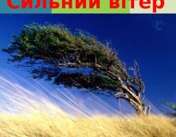 Шановні жителі Новопсковського району!