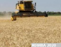 "ЖНИВА 2020": сільгоспвиробниками Новопсковщини скошено та обмолочено вже 18,0 тисяч га ранніх зернових культур