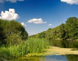 Моніторинг та екологічна оцінка водних ресурсів України