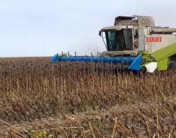 Осінні турботи аграріїв району тривають