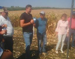 В селі Березівка відбувся День поля
