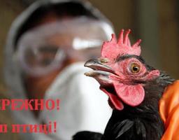 ОБЕРЕЖНО! В УКРАЇНІ ЗАРЕЄСТРОВАНО НОВИЙ ВИПАДОК ГРИПУ ПТАХІВ !