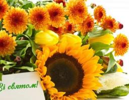 Шановні працівники соціальної сфери!  Щиро вітаю вас з професійним святом!
